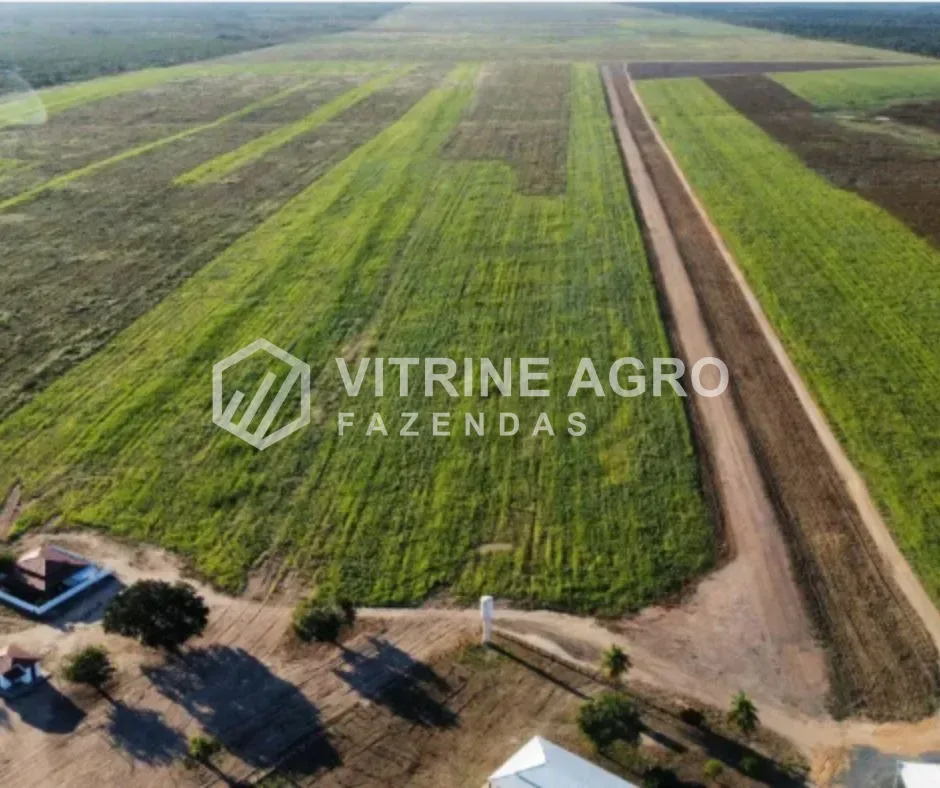 BARRA/OESTE DA BAHIA