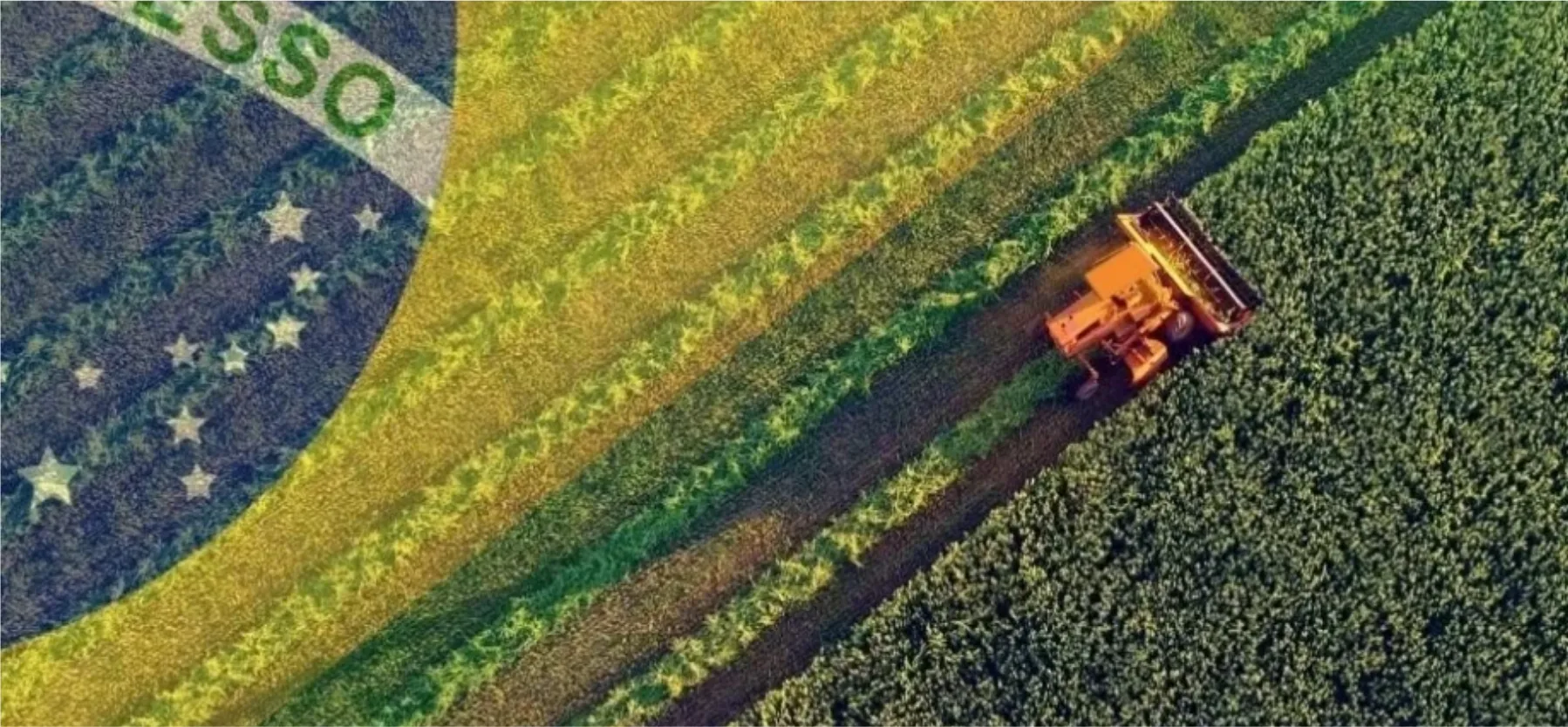 Agro do Brasil no Radar Global: O Novo Ciclo de Investimentos em Terras Agrícolas