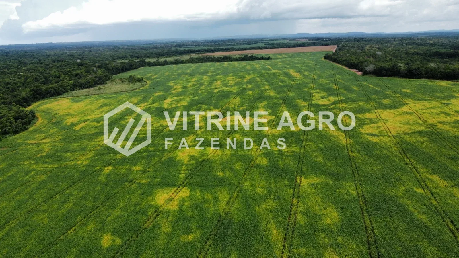 VALE DO ARAGUAIA
