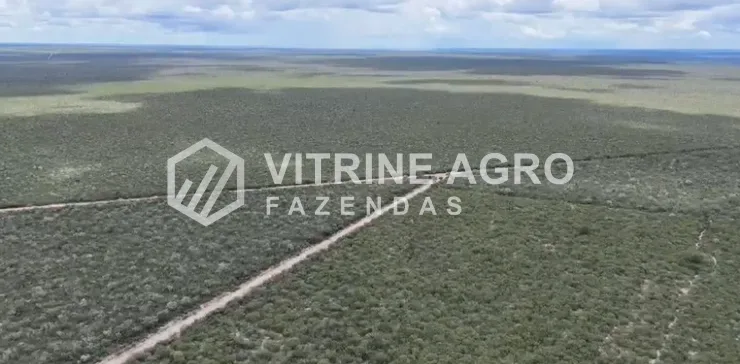 BAIANÓPOLIS/OESTE DA BAHIA